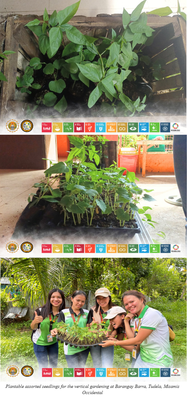 YOUNG FARMERS FROM MISAMIS UNIVERSITY PROMOTE SUSTAINABLE VERTICAL GARDENING FOR COASTAL RESIDENTS OF BARANGAY BARRA, TUDELA, MISAMIS OCCIDENTAL